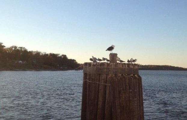 Jamestown-Scotland Ferry
