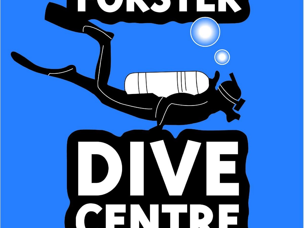 Forster Dive Centre: All You Need to Know BEFORE You Go
