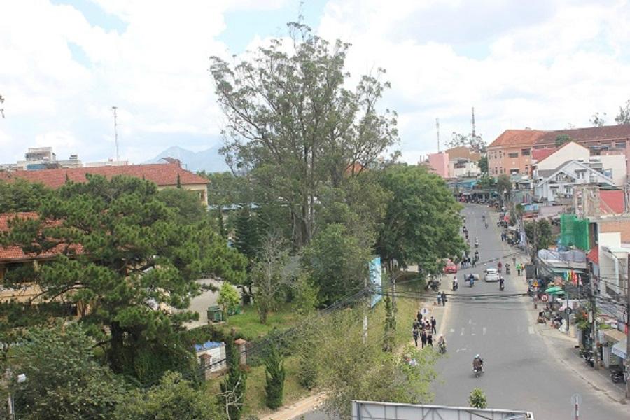 Hotel photo 13 of Dalat Sky Hostel.