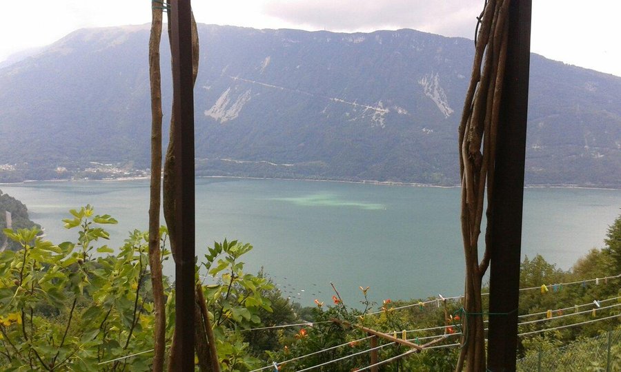 Bellavista