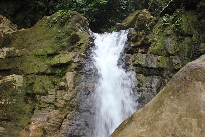 My fav. waterfall in Finca Bellavista