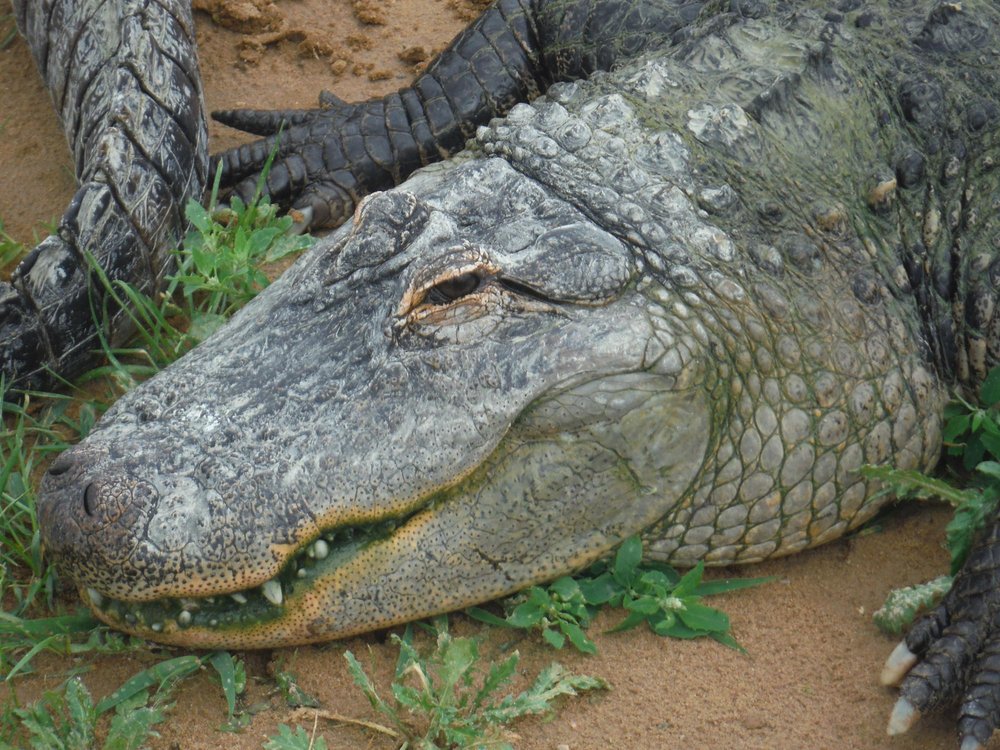 THE 10 BEST Zoos & Aquariums in Wisconsin (Updated 2024)