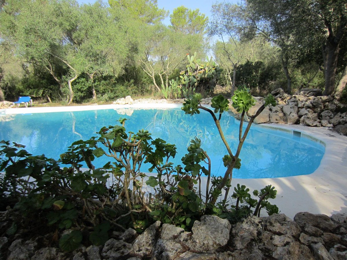 Foto E Recensioni Della Piscina Dellsa Casa Rotja Tripadvisor