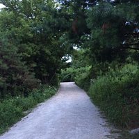 Main path