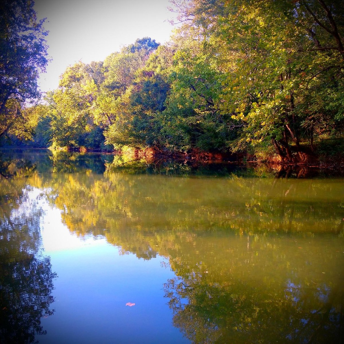 TALLADEGA CREEKSIDE RESORT Campground Reviews (AL) Tripadvisor
