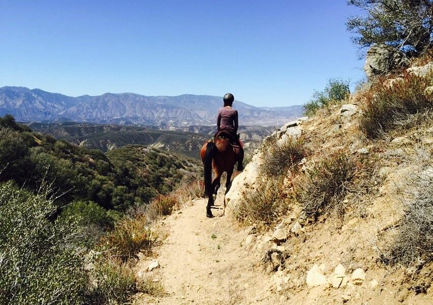 Running Horse Ranch image