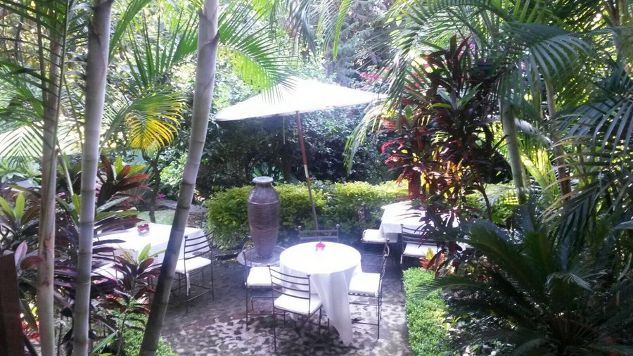 Jardin restaurante