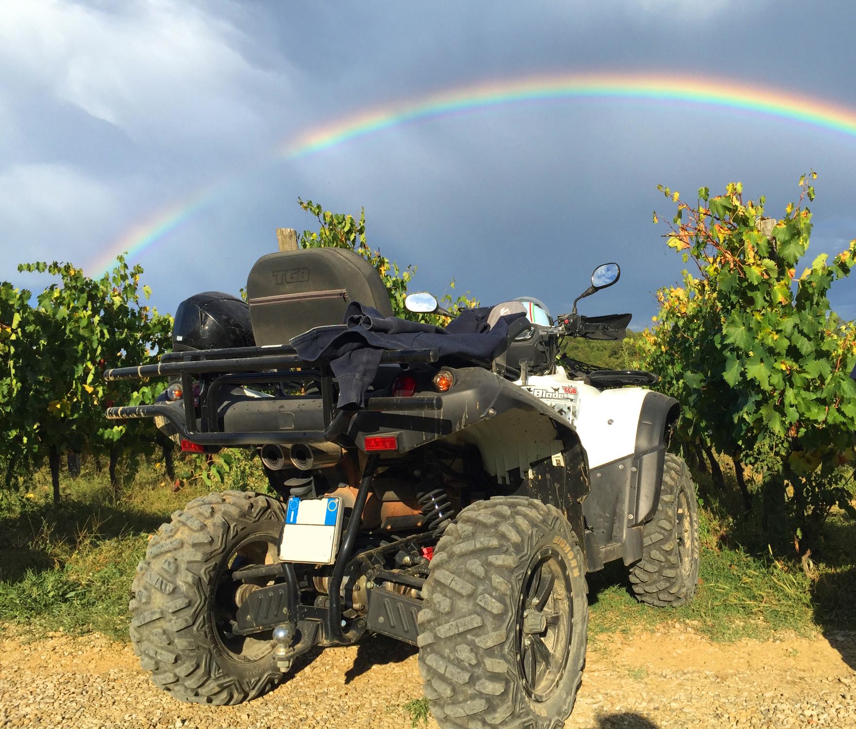 THE BEST Province of Arezzo 4WD ATV Off Road Tours 2024