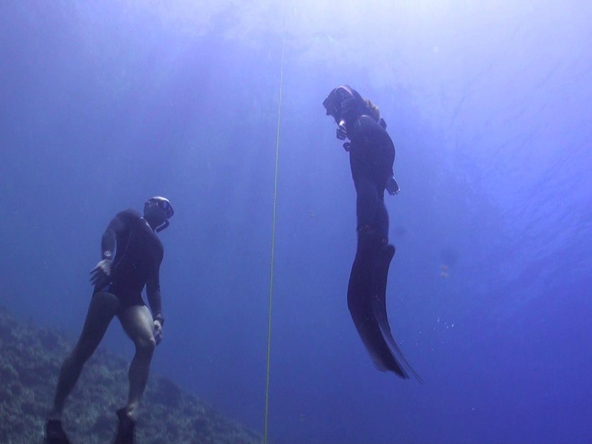 Palawan Freedivers - All You Need To Know Before You Go (2024)