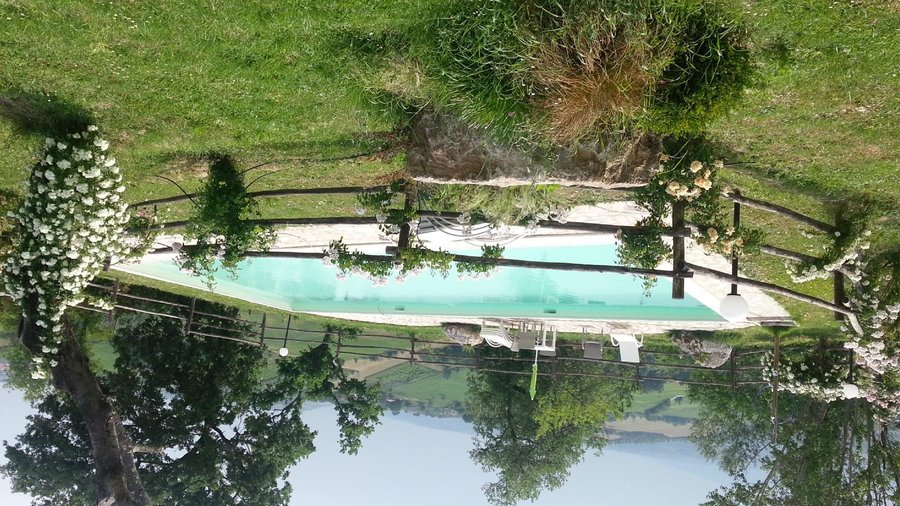 smimmingpool