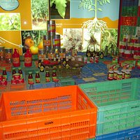 Tomatenmogelijkheden