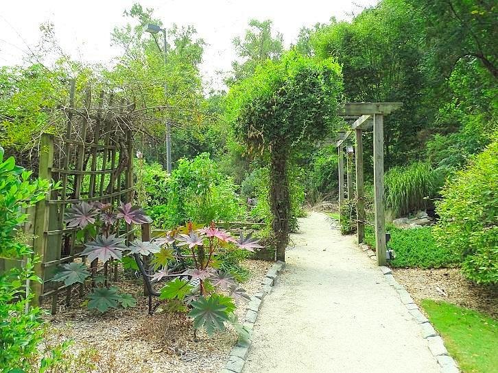 Wilson Botanical Gardens image