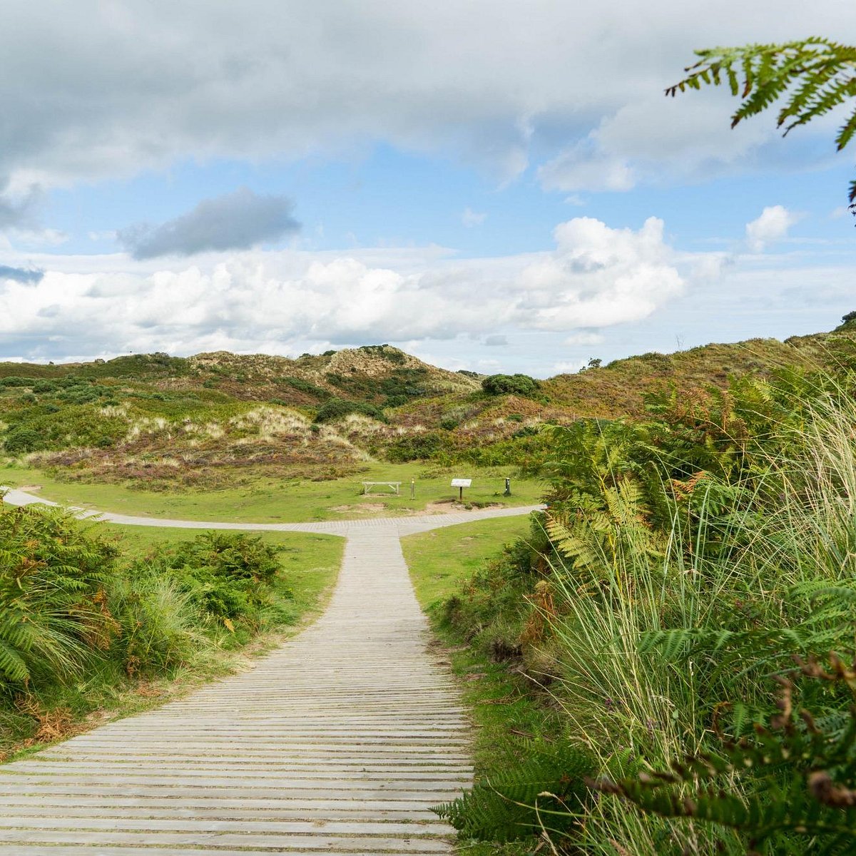 Scotland national nature reserves. Заповедник Бен-Эй.