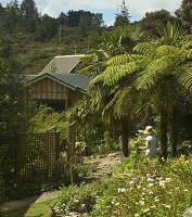 View of Nikau cottage in the bush