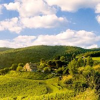 The panoramic picture of Montemaggio