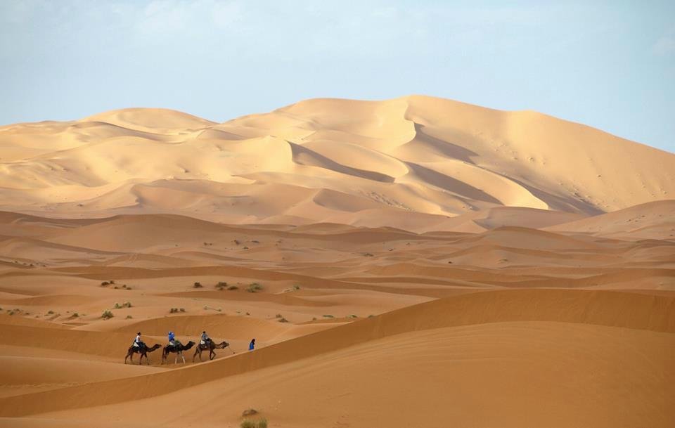 Deserto com areia movediça - Avaliações de viajantes - Wadi Araba Desert -  Tripadvisor