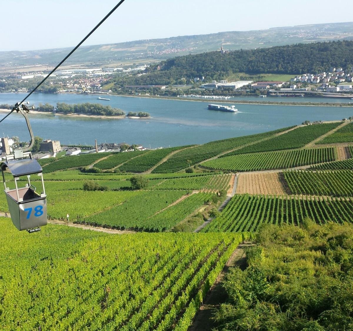 Seilbahn Rudesheim, Рюдесхайм: лучшие советы перед посещением - Tripadvisor