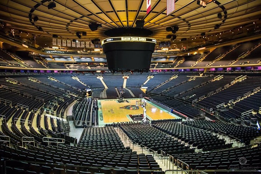 Madison Square Garden image