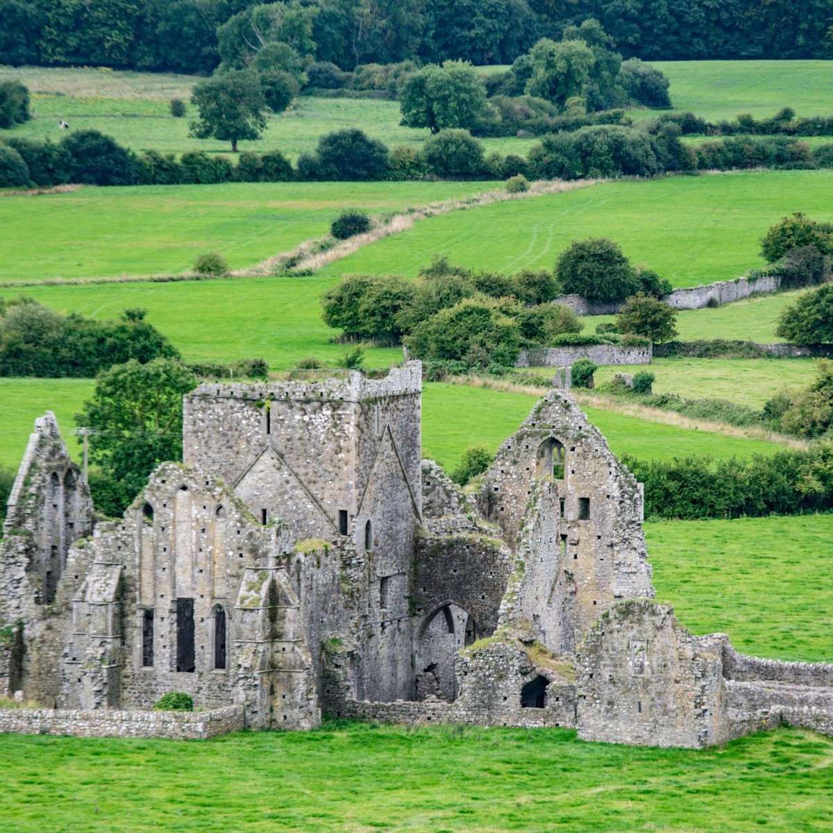 hore-abbey-cashel