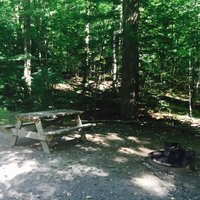 October Mountain State Forest - All You Need to Know BEFORE You Go (2024)