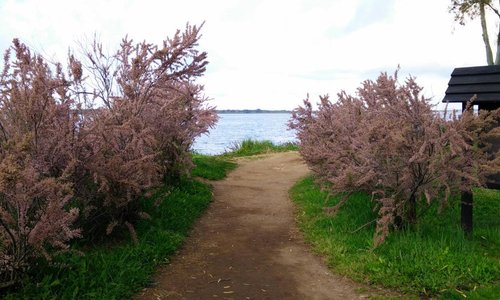 Parco del Fogliano, Latina.