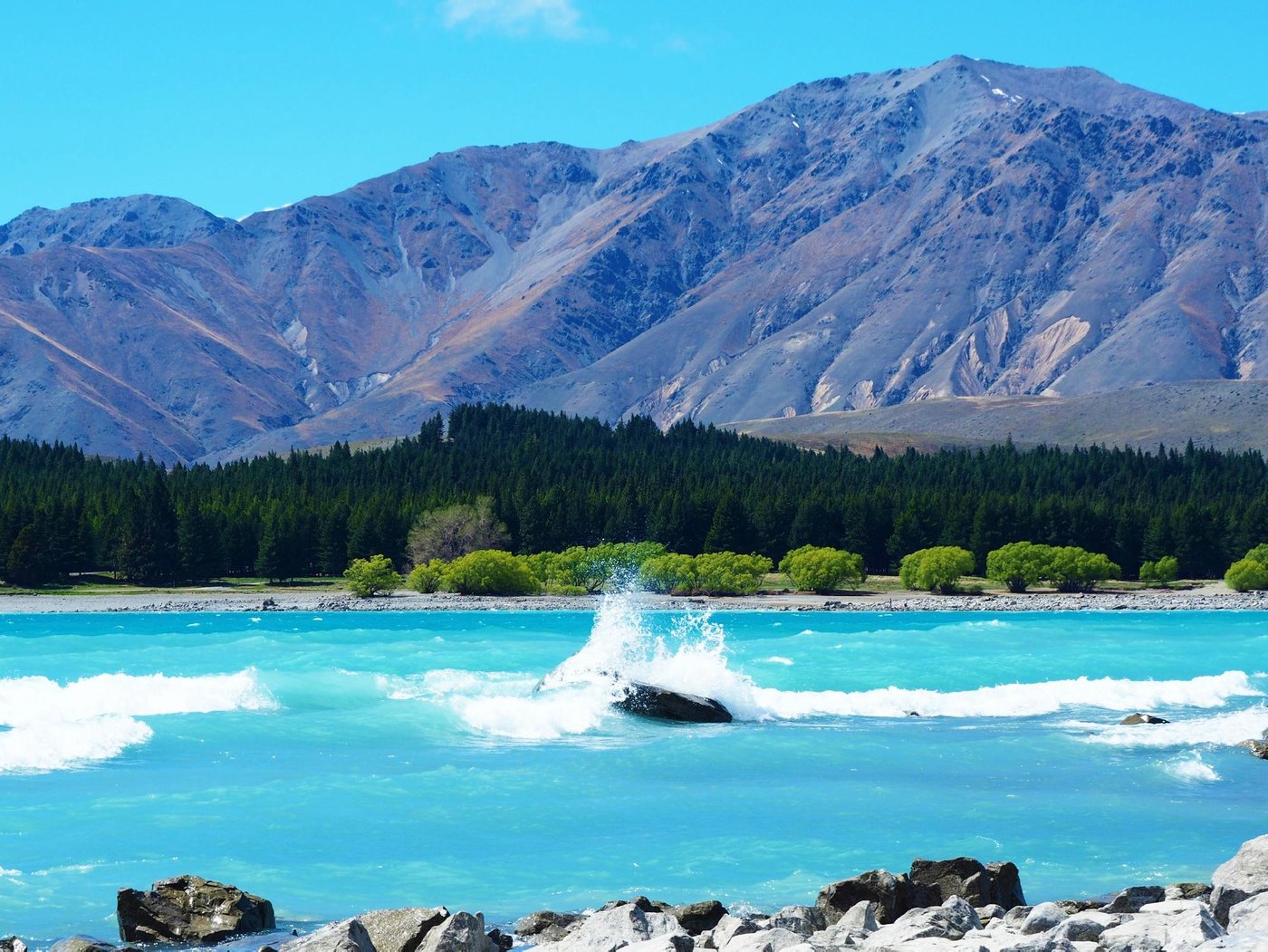 ALPINE STUDIO COULSON - Hotel Reviews & Price Comparison (Lake Tekapo ...