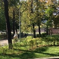 в дали футбольное поле, которое зимой превращается в каток