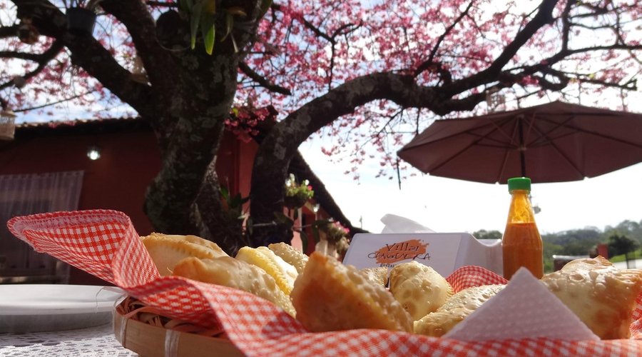 Pastel de alcachofra é a sensação da casa