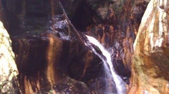 Cascadas de Pishurayacu