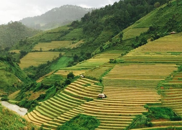 Nghia Lo, Vietnam 2024: Best Places to Visit - Tripadvisor