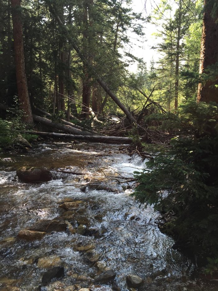 COLLEGIATE PEAKS CAMPGROUND - Reviews (Buena Vista, CO)