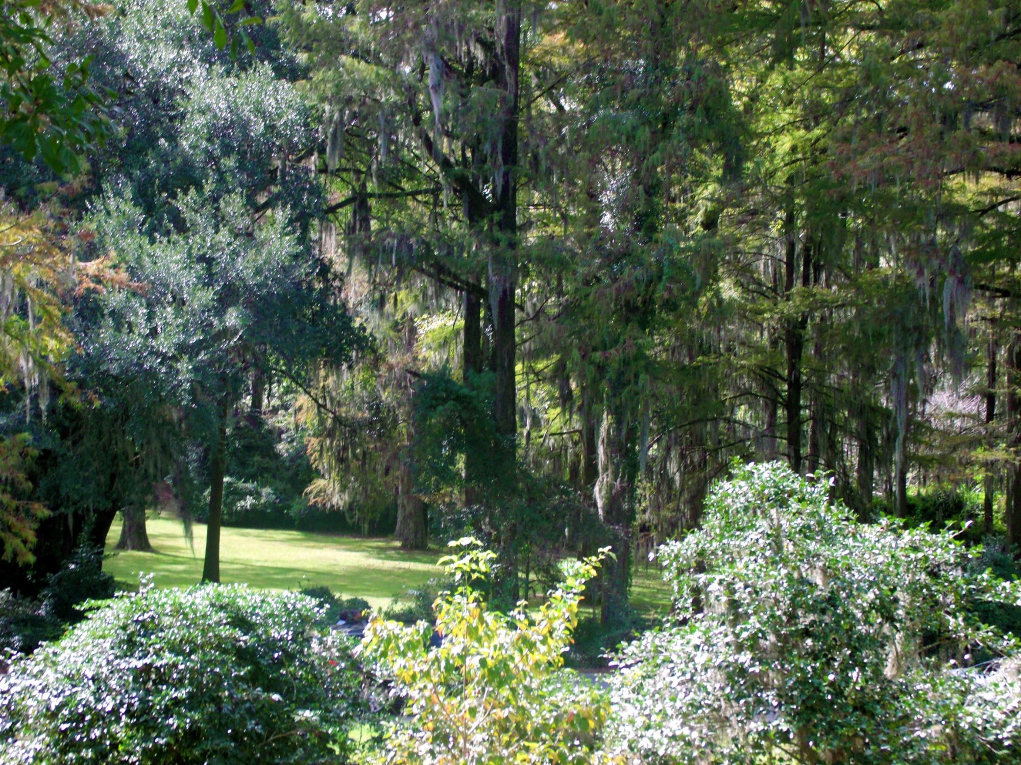 THE 10 BEST South Carolina Gardens 2024 Tripadvisor   Edisto Memorial Gardens 