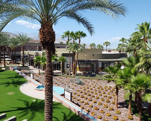 Top 10 Things To Do in Palm Desert