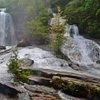 Things To Do in Laural Fork Falls, Restaurants in Laural Fork Falls