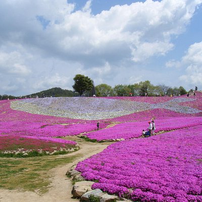 21年 世羅町で絶対外さないおすすめ観光スポットトップ10 定番から穴場まで トリップアドバイザー