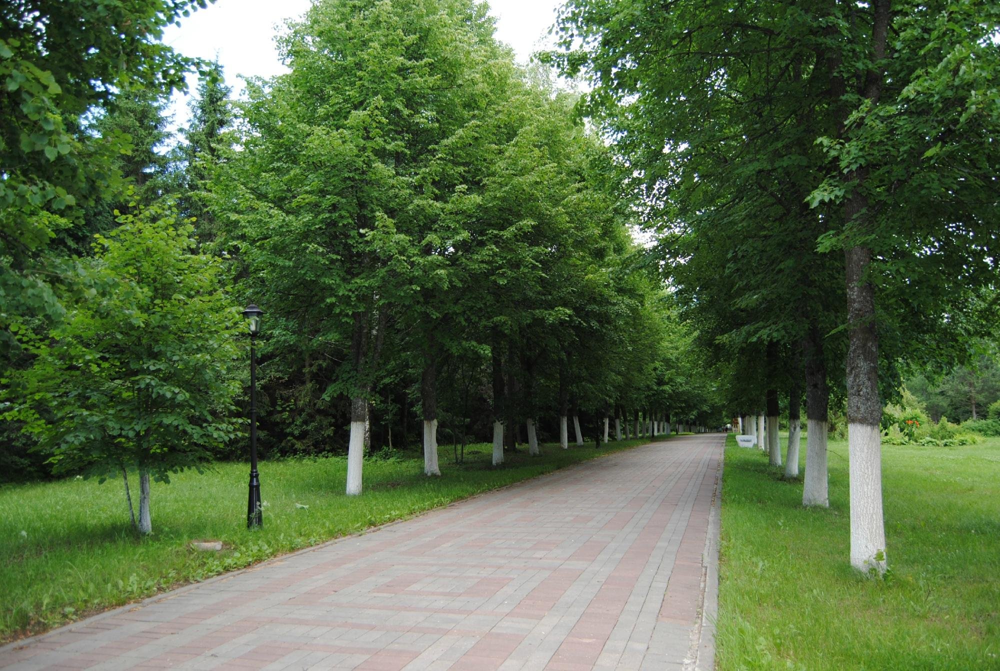 Podmoskovye Resort (Domodedovo) - 호텔 리뷰