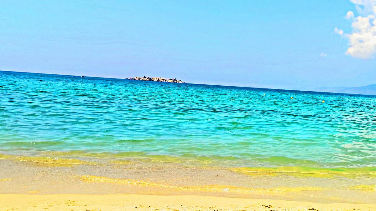 τσιπς αδυνατίσματος μείγμα τσαγιού με κράνμπερι για απώλεια βάρους