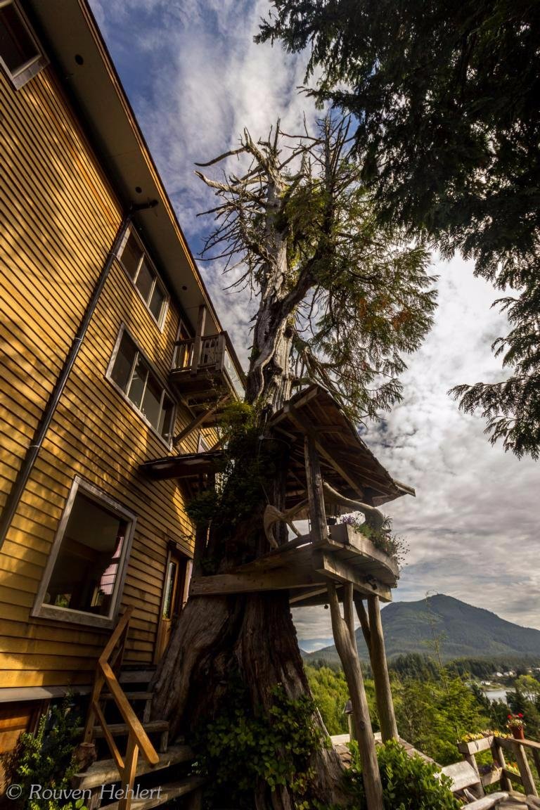 UKEE TREEHOUSE B&B - Reviews (Ucluelet, British Columbia)