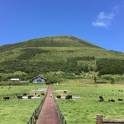 21年 八丈島八丈町で絶対外さないおすすめ観光スポットトップ10 定番から穴場まで トリップアドバイザー 21年 八丈島八丈町で絶対外さないおすすめ観光スポットトップ10 定番から穴場まで トリップアドバイザー
