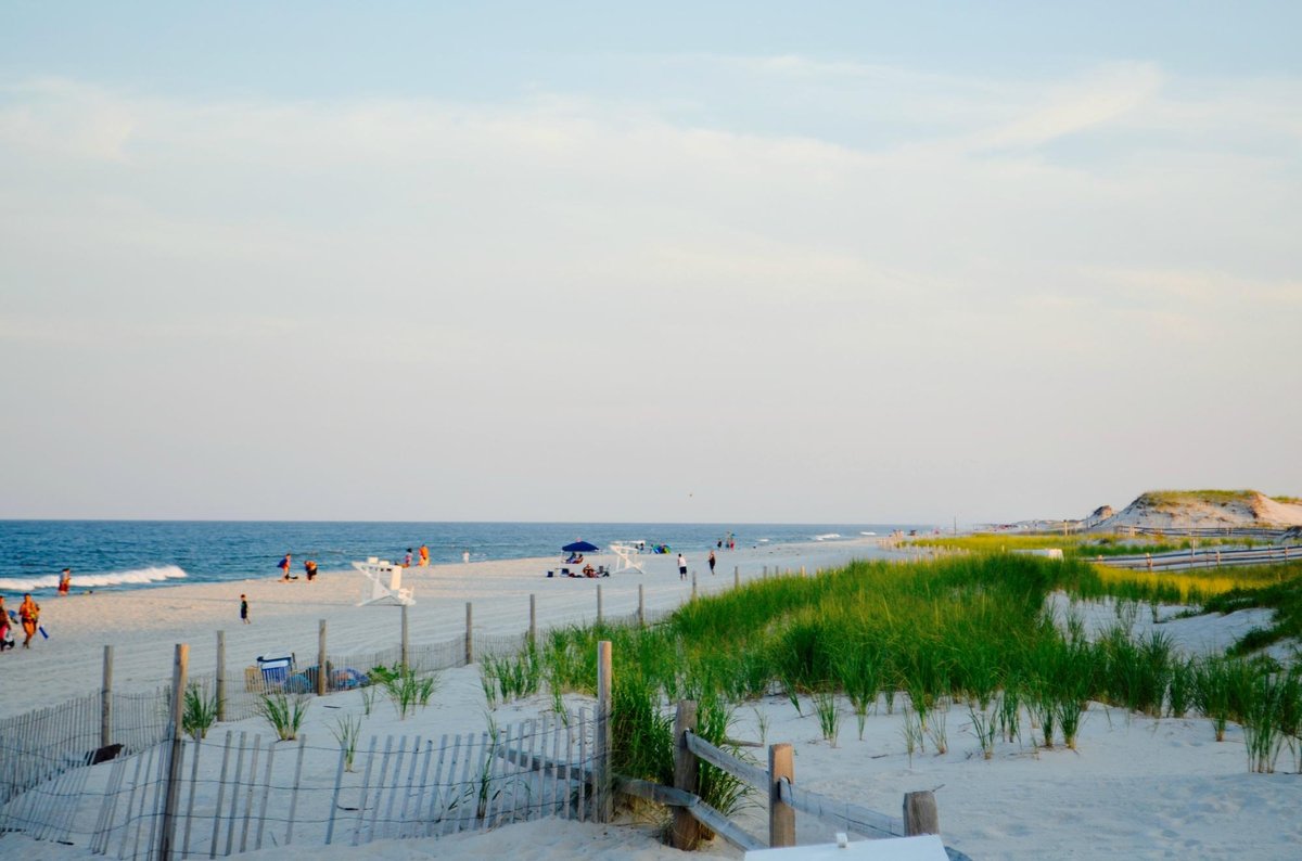 Island Beach State Park (New Jersey) All You Need to Know BEFORE You Go