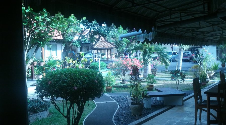 garden