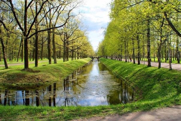 Александровский Парк, Санкт-Петербург: лучшие советы перед посещением -  Tripadvisor