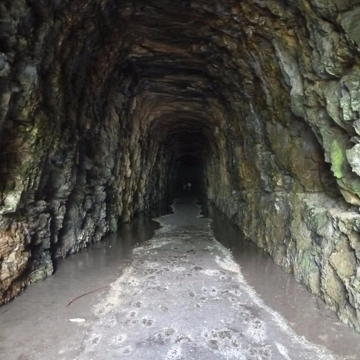 Mount Pleasant Tunnel - Visiting Guide & History