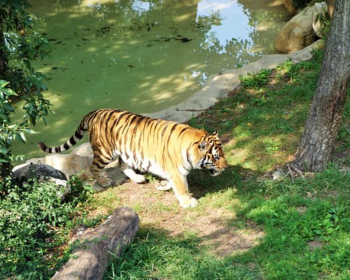 animal places to visit in missouri