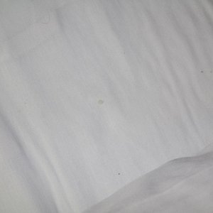 stains on sheet