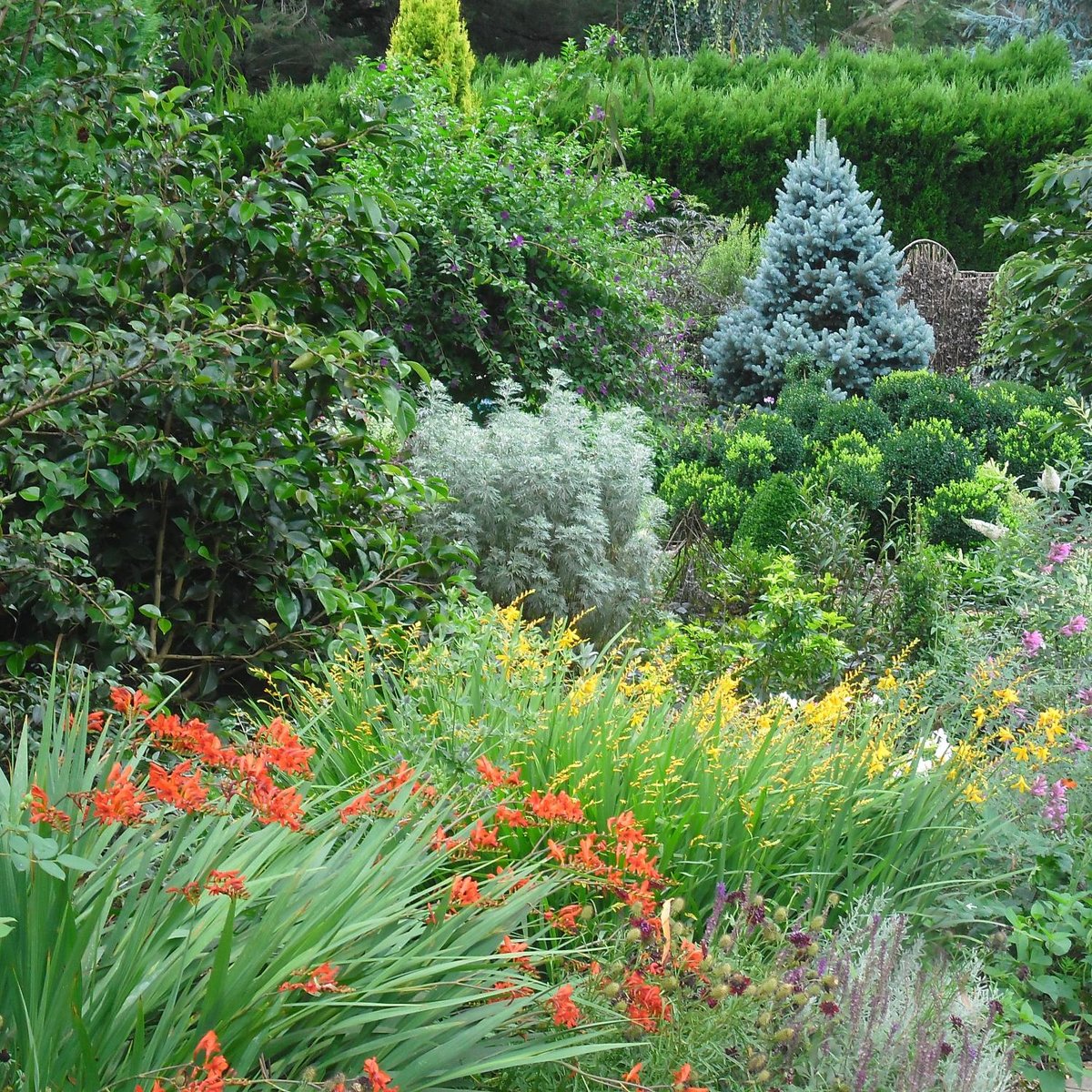 Perennial Hill Gardens (Mittagong) - All You Need to Know BEFORE You Go