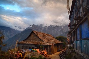 Hotel Apple Pie in Kalpa, image may contain: Shelter, Outdoors, Hut, Nature