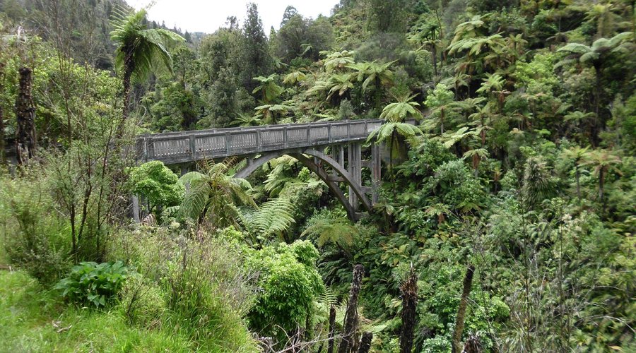The Bridge to Nowhere, Mangapurua Valley, New Zealand