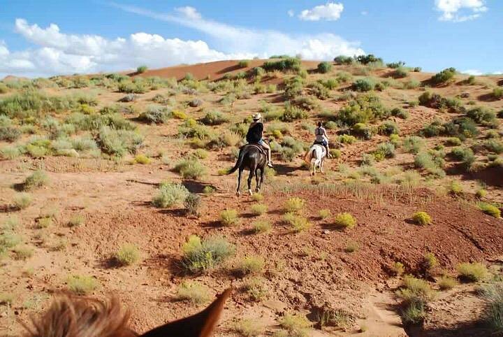 Dineh Trail Rides image