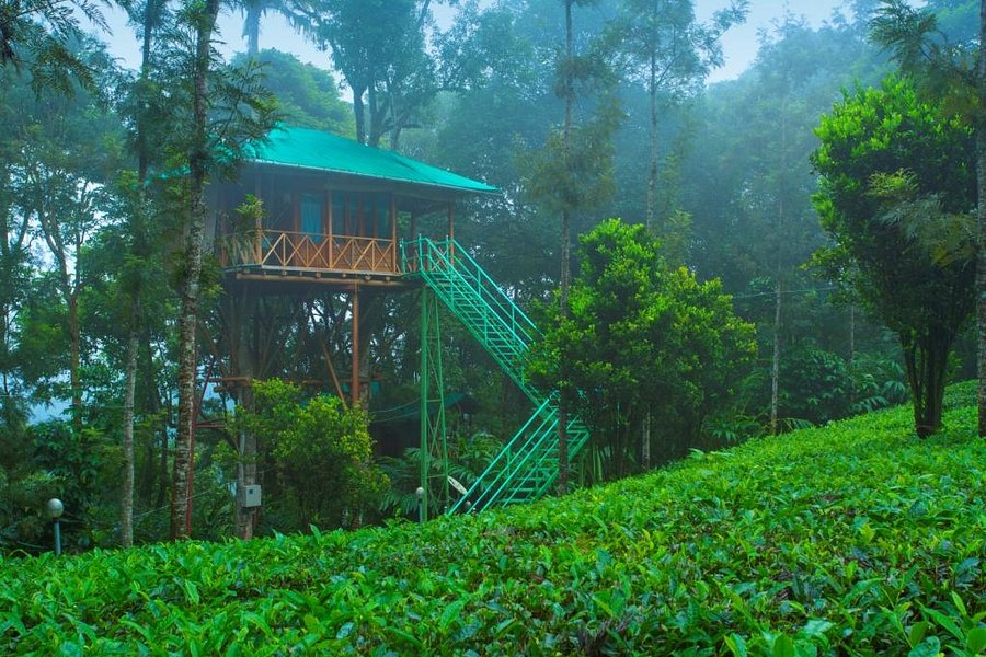 Dream Catcher Plantation Resort 110 2 1 2 Updated 21 Prices Hotel Reviews Munnar India Tripadvisor